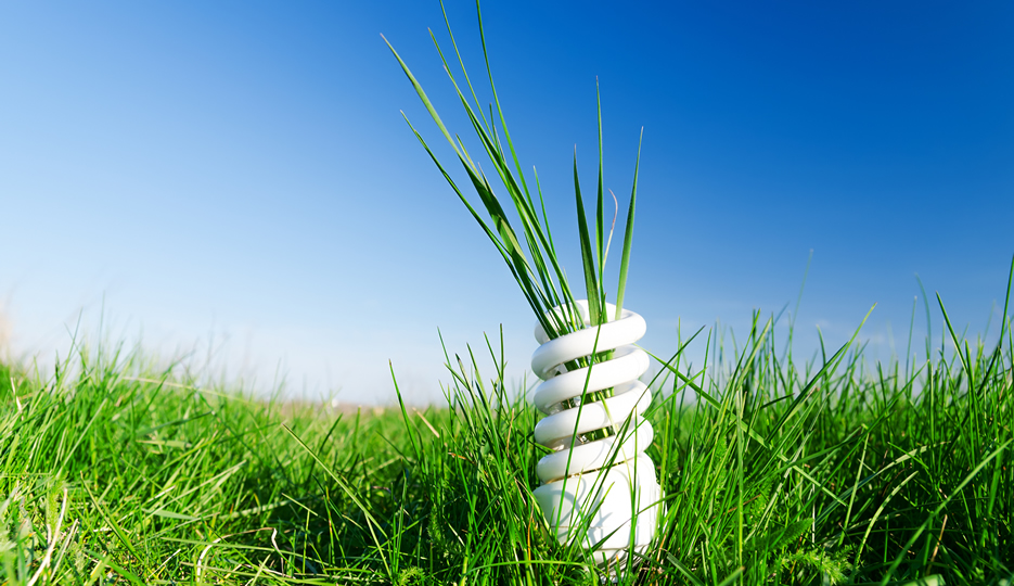 Electric Bulb with Grass Growing in and around it